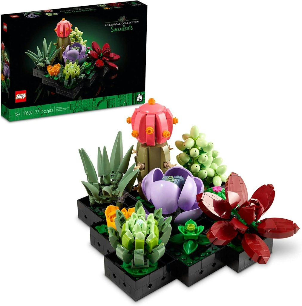 LEGO Botanicals Succulents: $40