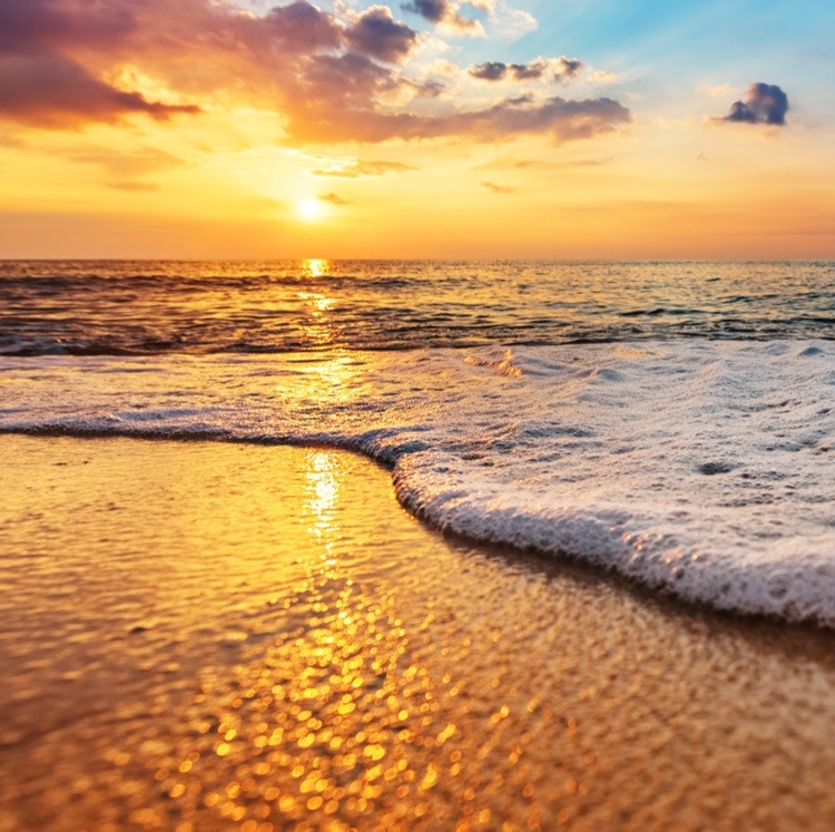 Daytona Beach Hotel and Experience Deals: Up to 20% off