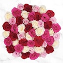 Costco Mother's Day Gifts: Up to $1,000 off + shipping varies