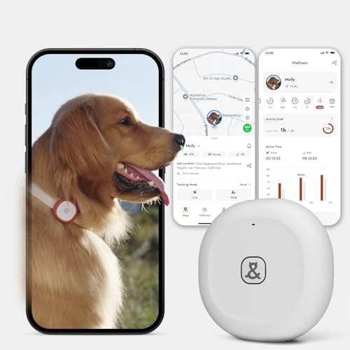 Molly&Cody GPS + Bluetooth Pet Tracker for Cats & Dogs: $19.99