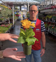 Lowe's Spring Flowers: Free on May 9