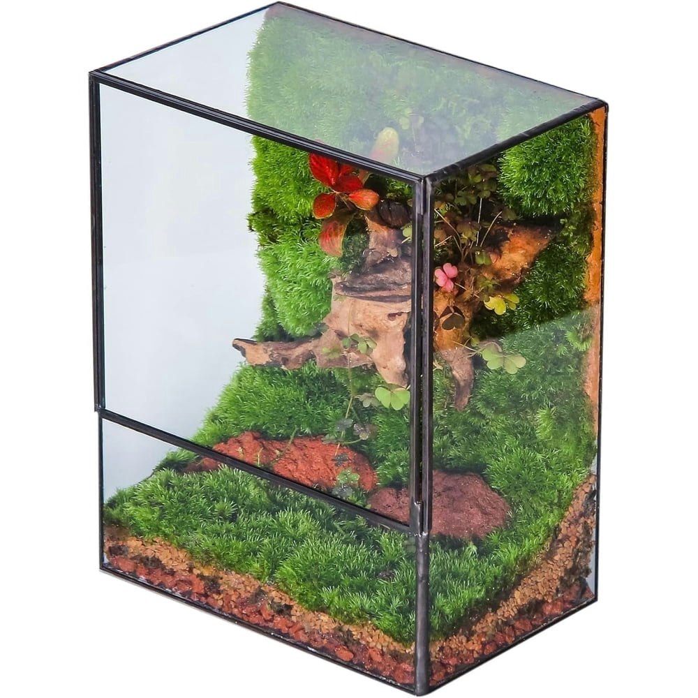 NCYP Small Rectangle Glass Terrarium with Door: $34.12 NCYP Small Rectangle Glass Terrarium with Door: $34.12