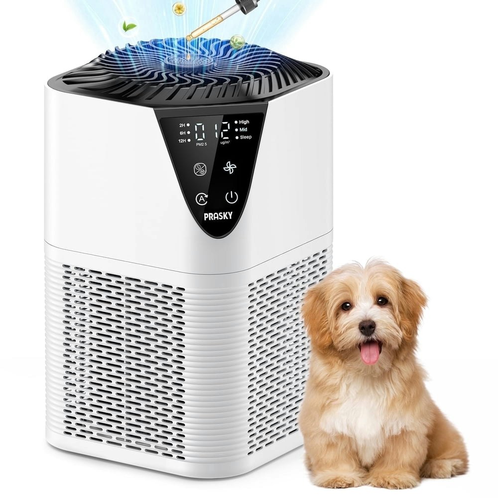 Prasky Air Purifier for Home up to 1,076 Sq Ft: $35.99