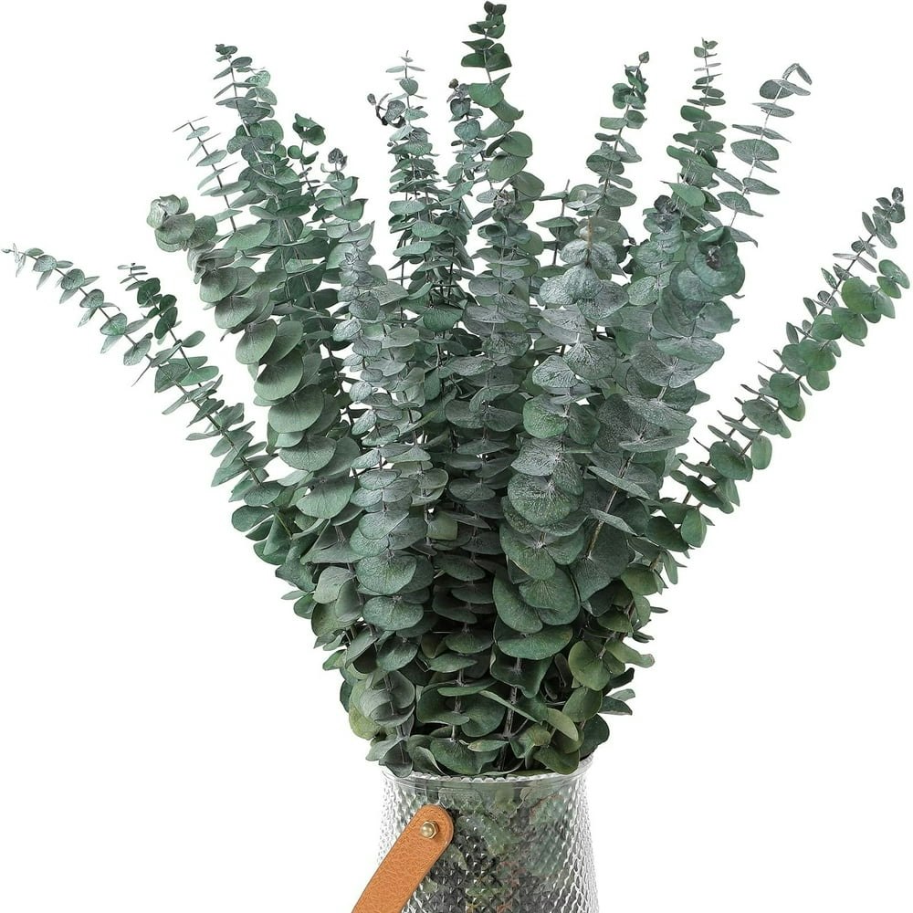 Trianu Dried Eucalyptus Stems 20-Pack: $12.99