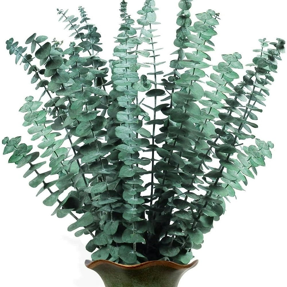 Nogis 17" Dried Eucalyptus Bundles 20-Pack: $15.69