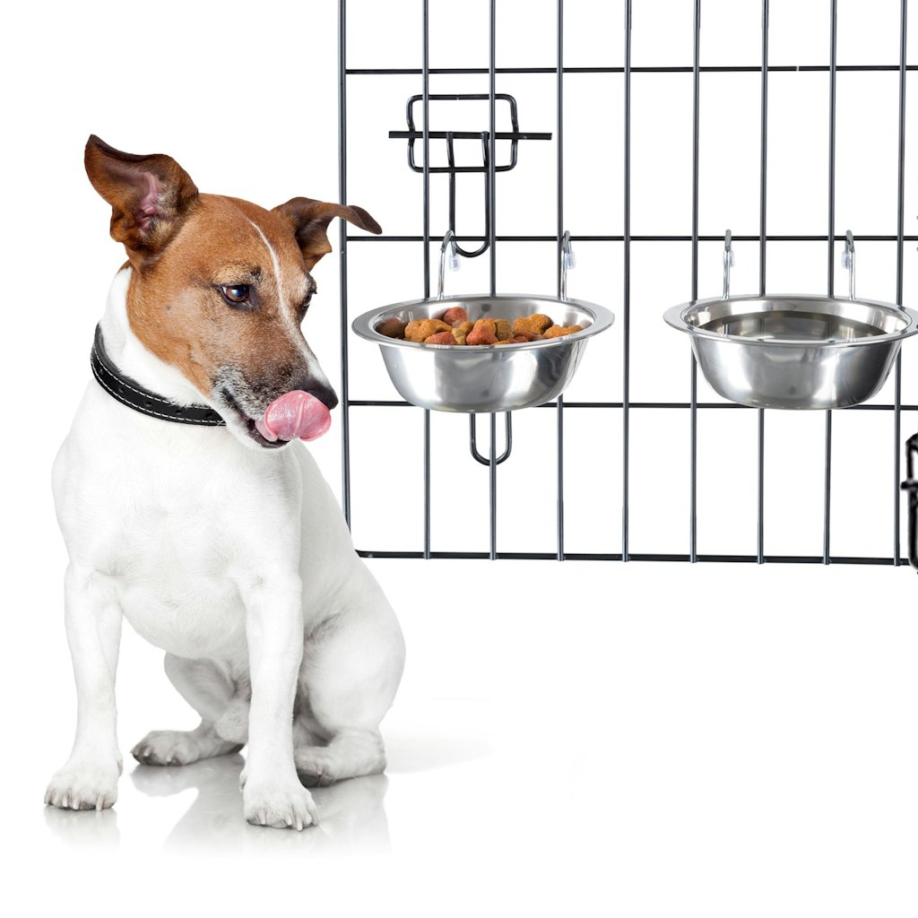 Stainless Steel Hanging Dog Bowls 2-Pack: $6.71 Stainless Steel Hanging Dog Bowls 2-Pack: $6.71