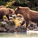 Oceania 10-Night Alaska Cruise for From $6,720 for 2