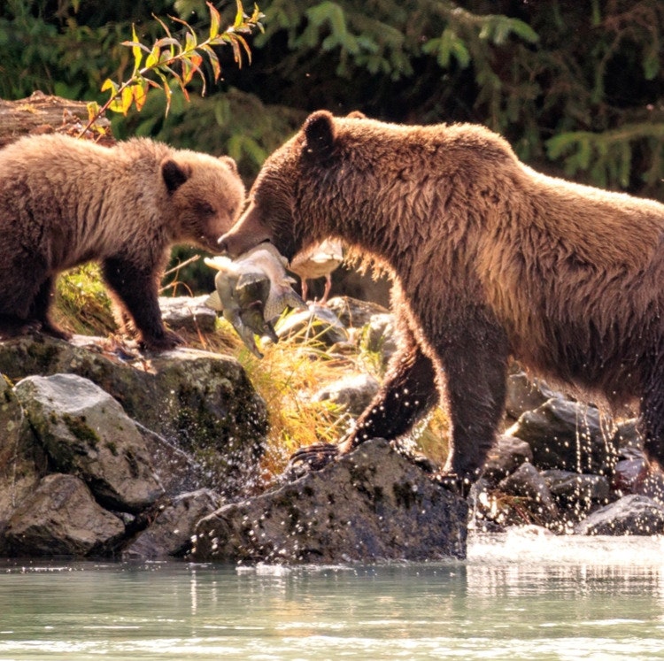 Oceania 10-Night Alaska Cruise: From $6,720 for 2