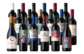 Splash Wines Red Wine Sale 18-Pack: $99.99