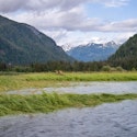 Holland America Line 18-Night Great Bear Rainforest and Alaska Cruise for From $4,398 for 2