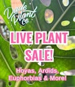 Live Plant Sale on eBay Live