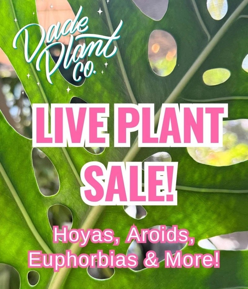 Live Plant Sale on eBay Live: Deals from $1