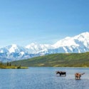 Holland America Line 7-Night Alaska Inside Passage Cruise for From $2,018 for 2