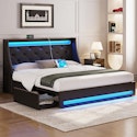 Rolanstar Queen Bed Frame w/ LED Lights & Charging Station + free shipping