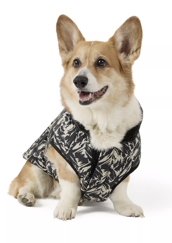 PetSmart Clearance: Up to 80% off