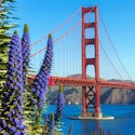 Princess 7-Night Pacific Wine Country Cruise for From $1,410 for 2