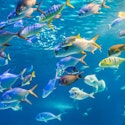 Norwegian 4-Night Bahamas Cruise for From $1,078 for 2