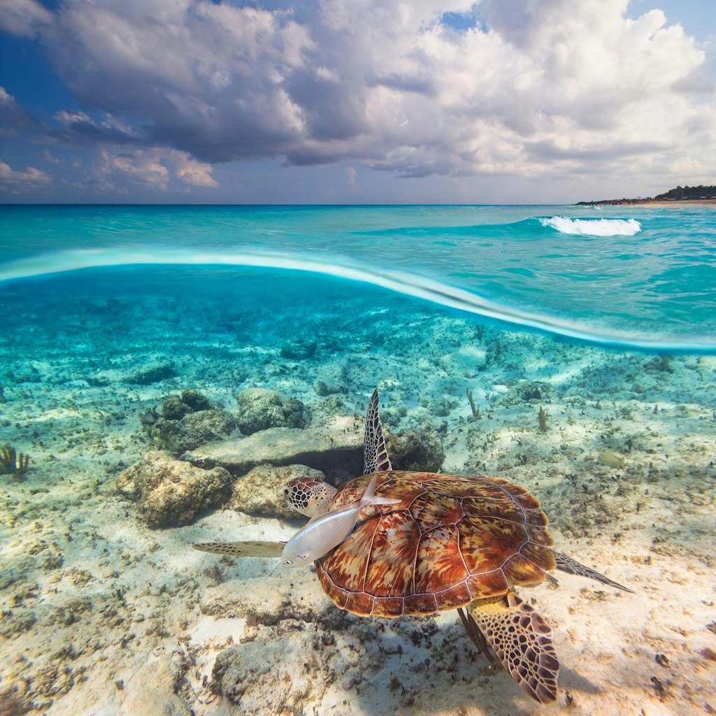 Norwegian 4-Night Caribbean Cruise: From $938 for 2 Norwegian 4-Night Caribbean Cruise: From $938 for 2