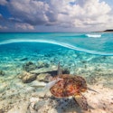 Norwegian 4-Night Caribbean Cruise for From $938 for 2