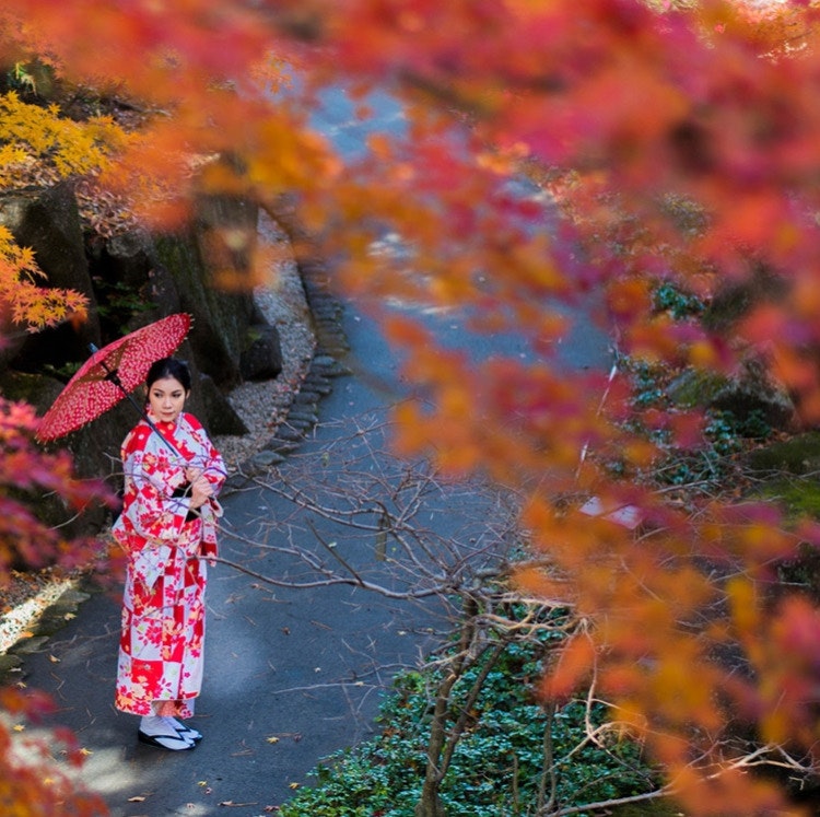 7-Night Japan Hotel and Tour Vacation: From $4,598 for 2 7-Night Japan Hotel and Tour Vacation: From $4,598 for 2
