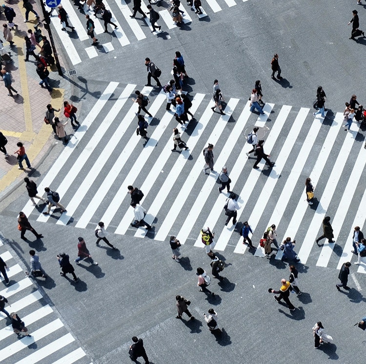 7-Night Japan Hotel and Tour Vacation: From $3,198 for 2 7-Night Japan Hotel and Tour Vacation: From $3,198 for 2