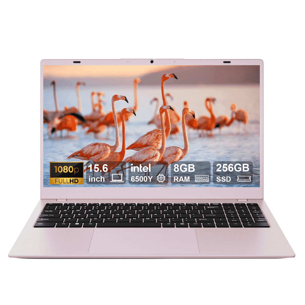 RNRUO 15.6" 8GB RAM 256GB SSD Laptop Computer: $227.80 RNRUO 15.6" 8GB RAM 256GB SSD Laptop Computer: $227.80