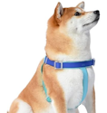 Furry Friends Party Sale at Woot: Up to 66% off + extra 20% off 3+ items + free shipping w/ Prime