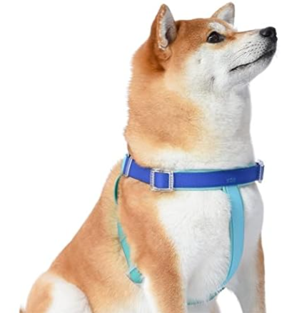 Furry Friends Party Sale at Woot: Up to 66% off + extra 20% off 3+ items