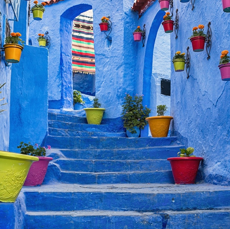 11-Night Morocco Flight, Hotel, and Tour Vacation: From $8,098 for 2