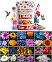 90,000+ Non-GMO Perennial Flower Seeds + free shipping w/ Prime