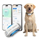 DBDD GPS Dog Tracker Collar for $15 + free shipping w/ Prime