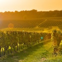 Scenic 10-Night Bordeaux River Cruise for From $13,808 for 2