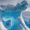 Scenic 12-Night Antarctica Cruise for From $40,028 for 2