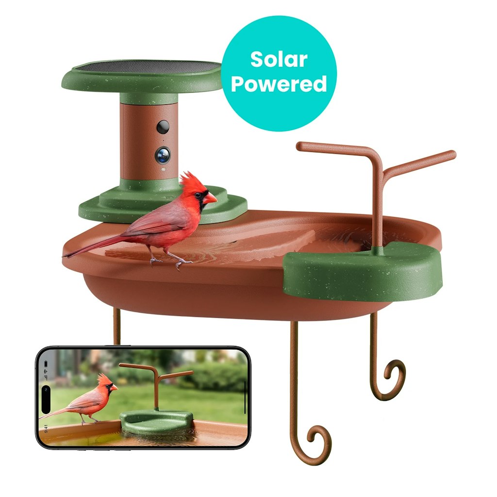 Birdfy Smart Bird Bath  : $116