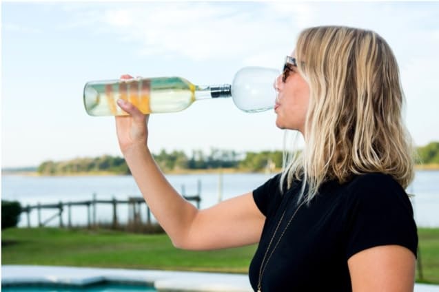 Guzzle Buddy 2GO 16-oz. Wine Glass Bottle Topper: $9.99