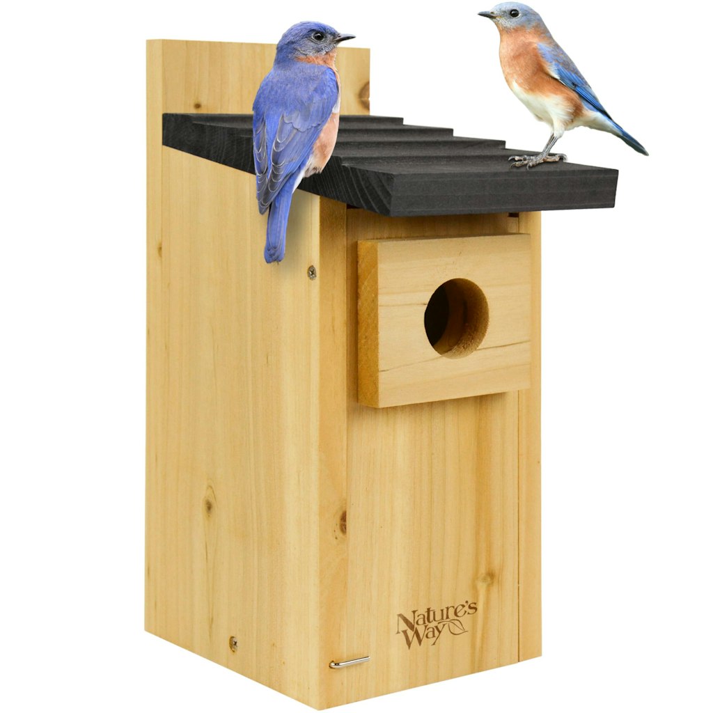 Wild Wings Cedar Blue Bird Box House: $13 Wild Wings Cedar Blue Bird Box House: $13