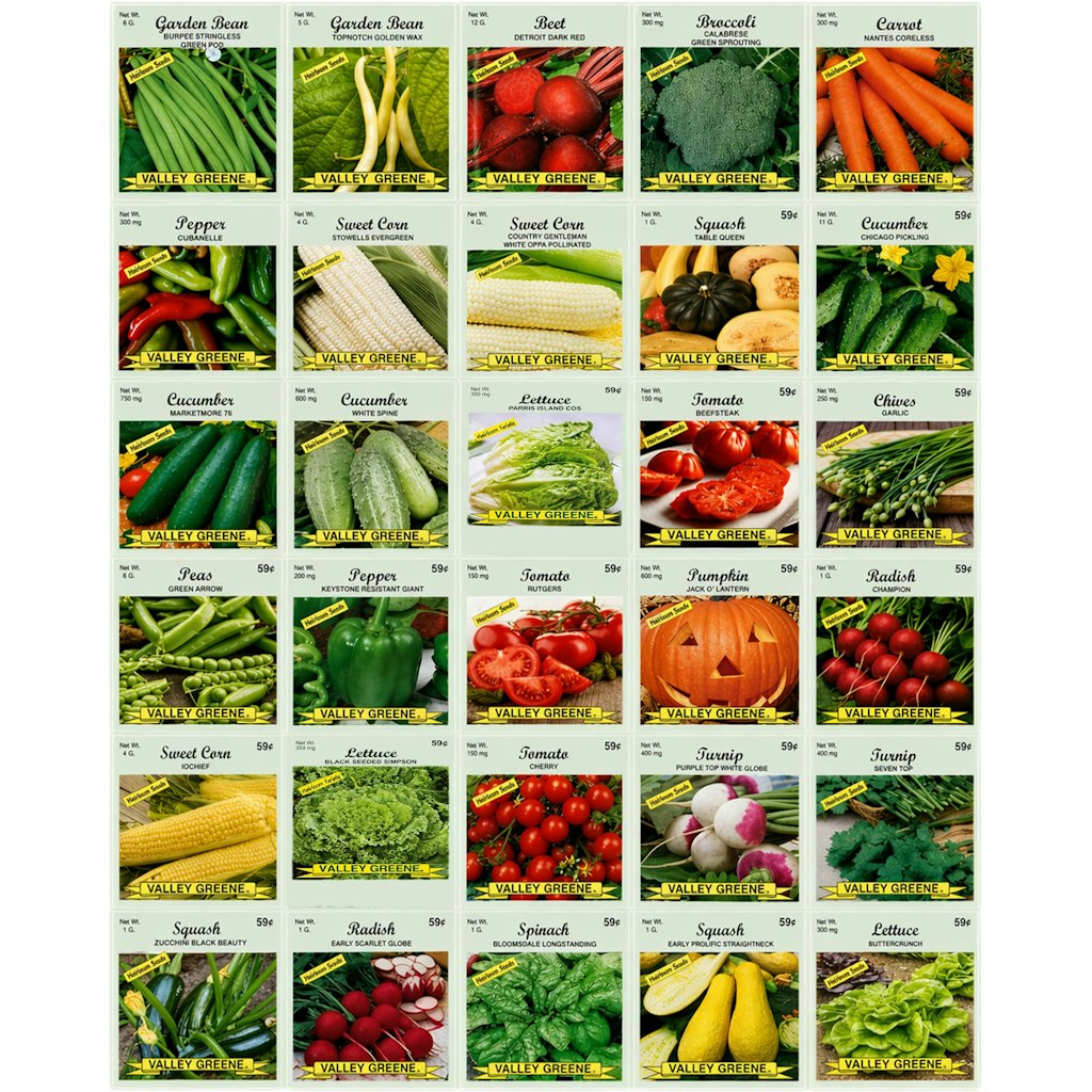 Valley Greene Heirloom Vegetable Garden Seeds 30-Pack: $8.99