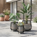 Dakota Fields 3-Piece Bamboo Planters Set + free shipping