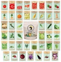 Vegetable & Herb Seeds 43-Pack + free shipping w/ Prime