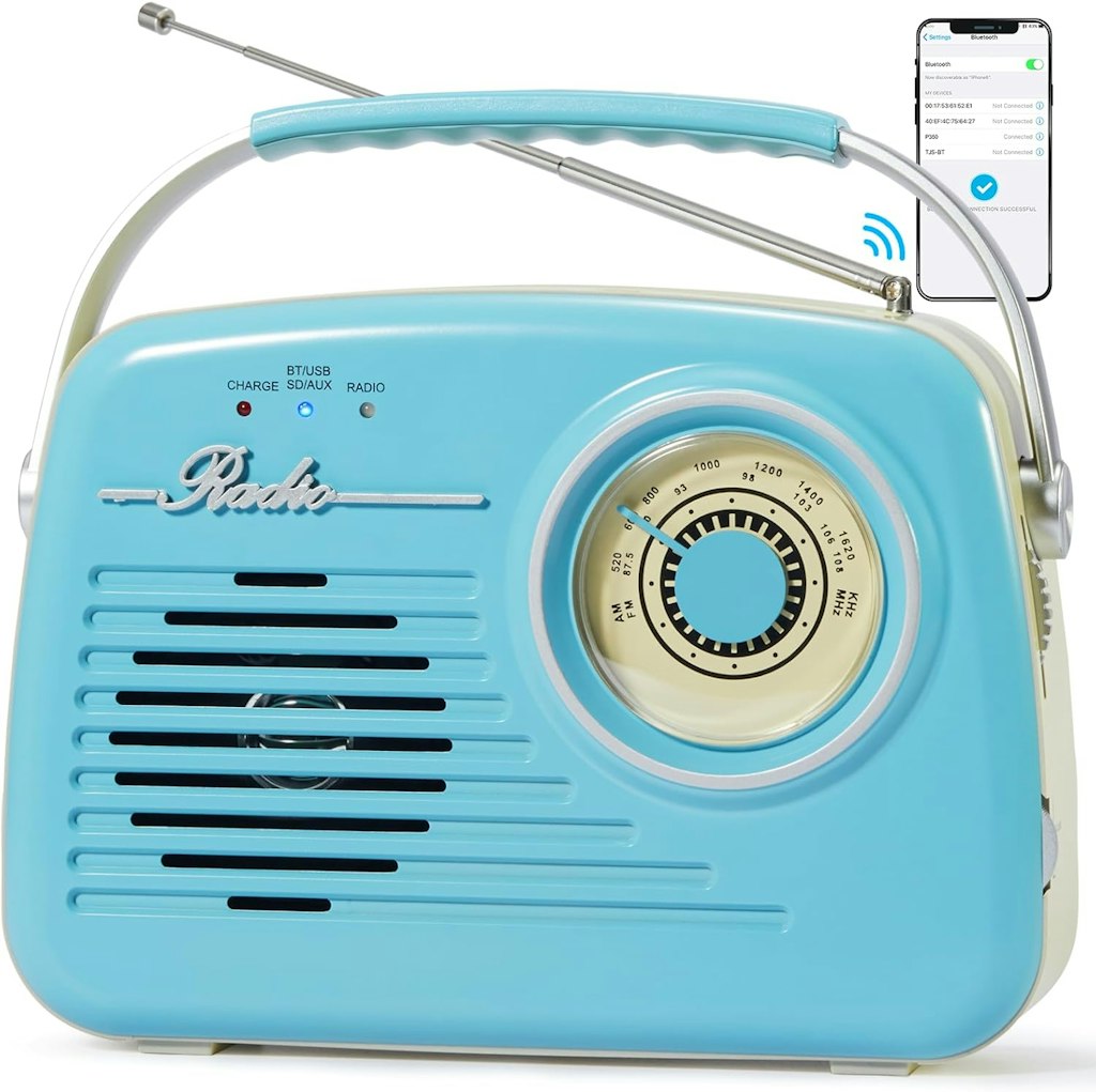 Bingxue Portable AM/FM Bluetooth Radio: $22
