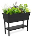 Keter Urban Bloomer 12.7-Gallon Raised Garden Bed + free shipping