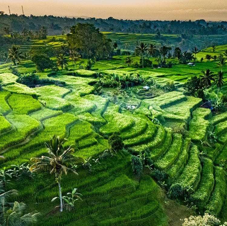 14-Night Bali & Thailand Flight, Hotel, and Tour Vacation: From $5,598 for 2