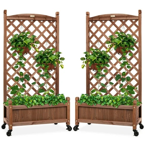 Walmart Live Plants & Planters Savings: Up to 50% off Walmart Live Plants & Planters Savings: Up to 50% off