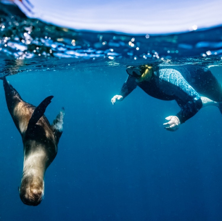 11-Night Ecuador and Galapagos Flight, Hotel, and Tour Vacation: From $4,398 for 2