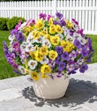 Ivydale Artificial Pansy Flowers 20-Pack for $10 + free shipping w/ Prime