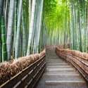 9-Night Tokyo, Kyoto, and Osaka Flight, Hotel, and Tour Vacation for From $3,798 for 2
