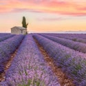 6-Night Provence Culinary Tour Vacation for From $8,396 for 2