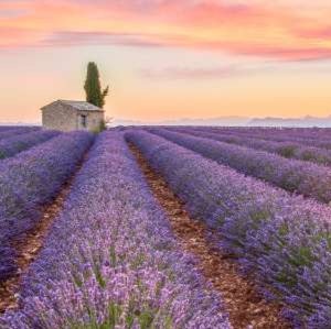 6-Night Provence Culinary Tour Vacation: From $8,396 for 2