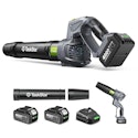 Taskstar Cordless Leaf Blower 2 x 4.0Ah Batteries and Charger for $40 + free shipping
