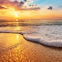 Daytona Beach Hotels and Experiences Deal: Up to 20% off